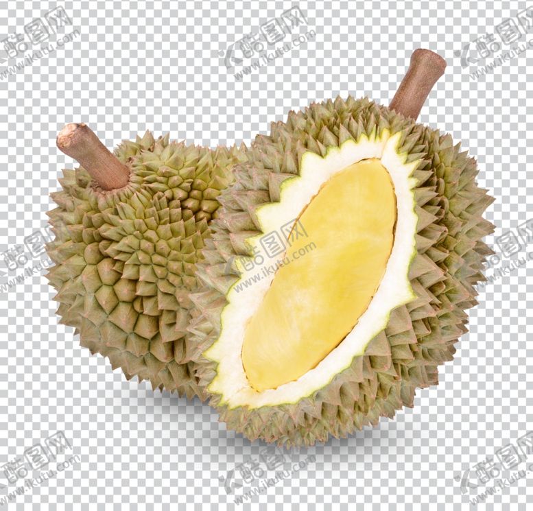 编号：37038612090242467803【酷图网】源文件下载-免扣高清榴莲