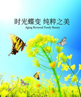 蝴蝶化妆品形象
