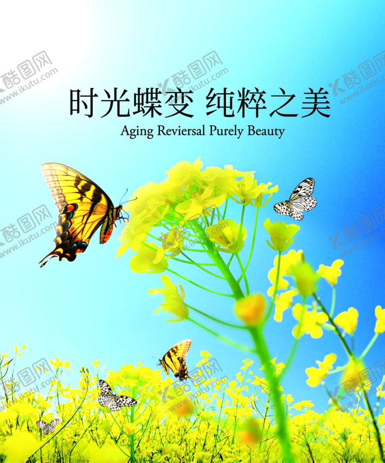 编号：74169005050124225263【酷图网】源文件下载-蝴蝶化妆品形象