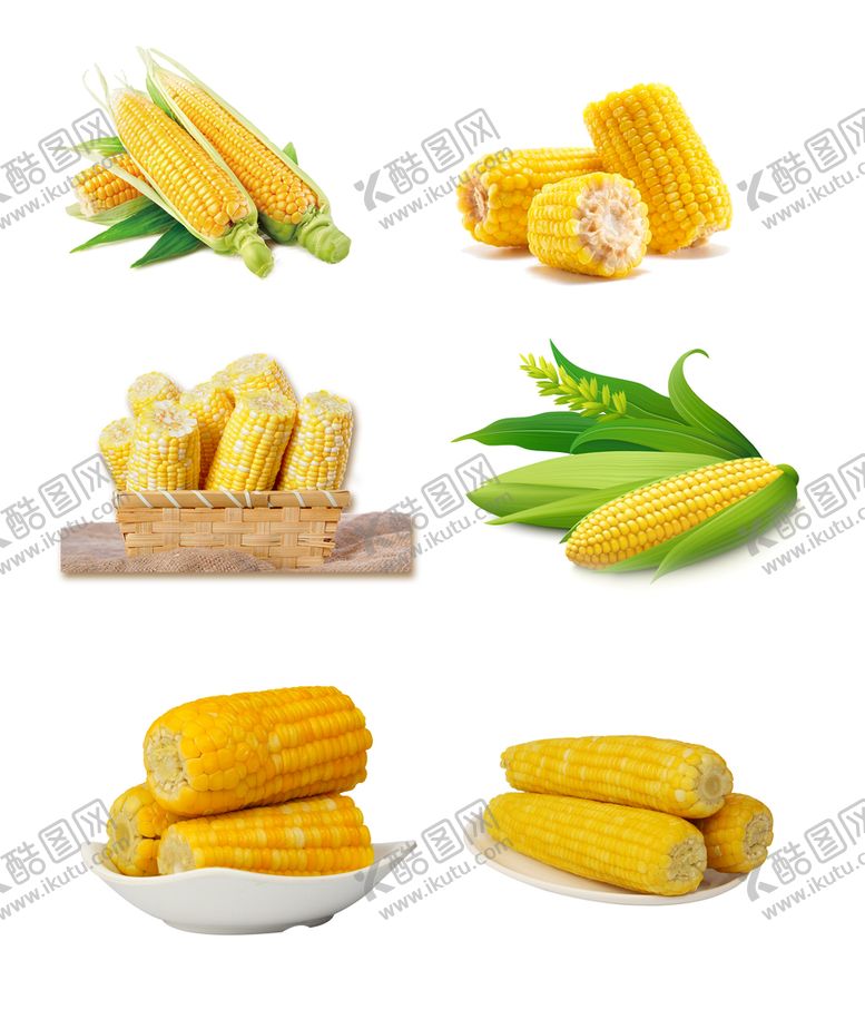 编号：60336510151120258011【酷图网】源文件下载-玉米