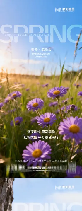 龙抬头春分节日节气海报春天