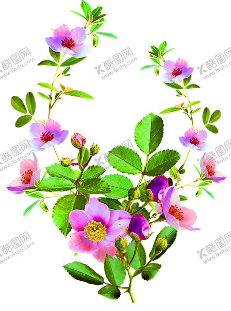 编号：48807005142315416102【酷图网】源文件下载-鲜花装饰
