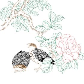 高清工笔画线稿PNG素材之茶花
