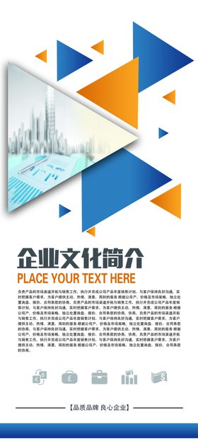 企业文化简介展架海报