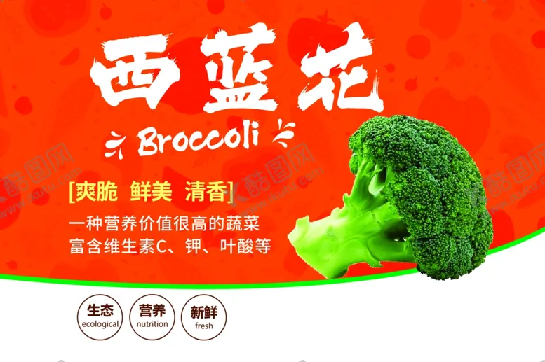 编号：89769602070315231716【酷图网】源文件下载-西兰花