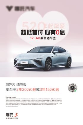 汽车情人节政策海报
