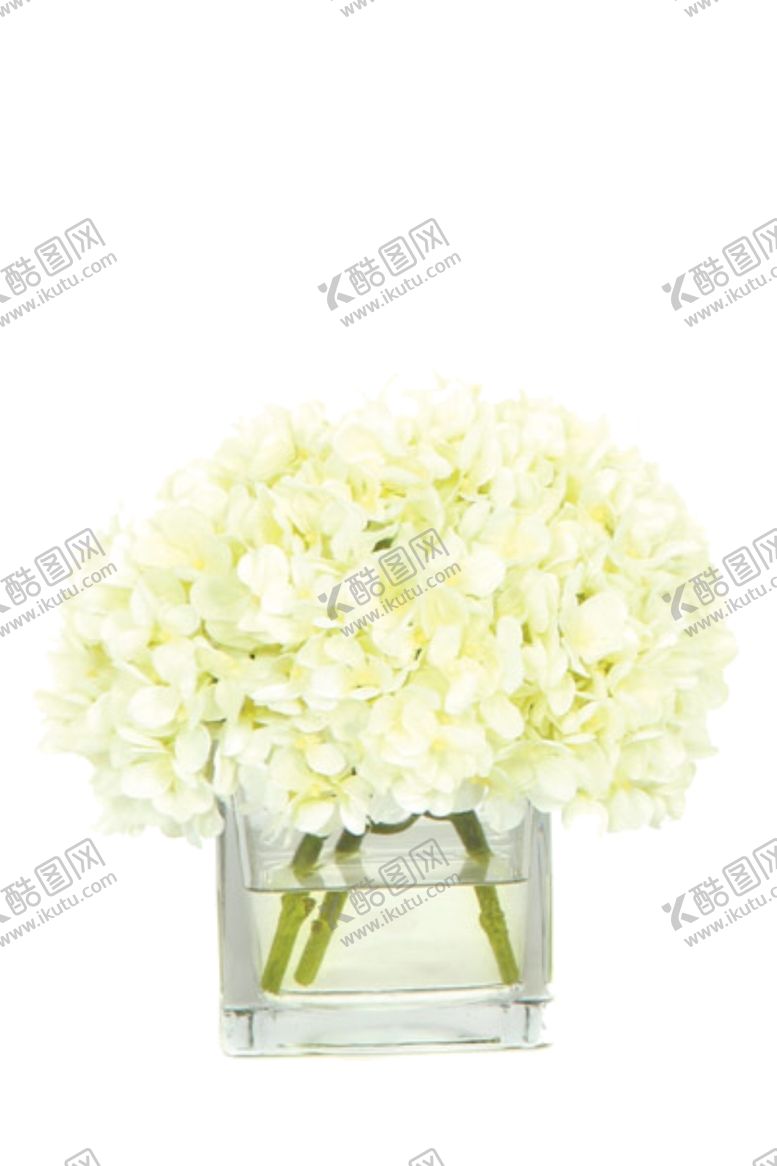 编号：10379606261724491164【酷图网】源文件下载-免抠背景花草树木