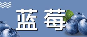 蓝莓标签