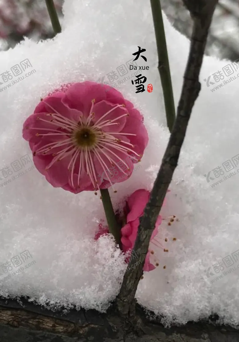 编号：25173212061234067023【酷图网】源文件下载-大雪
