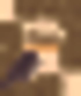 古典鸟传统鸟