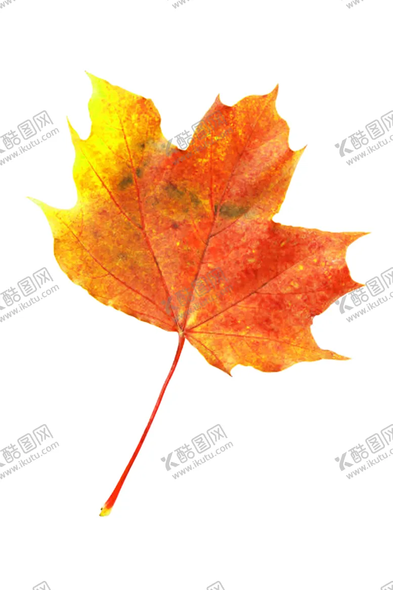编号：58789909090604547680【酷图网】源文件下载-火焰