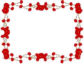 花图片