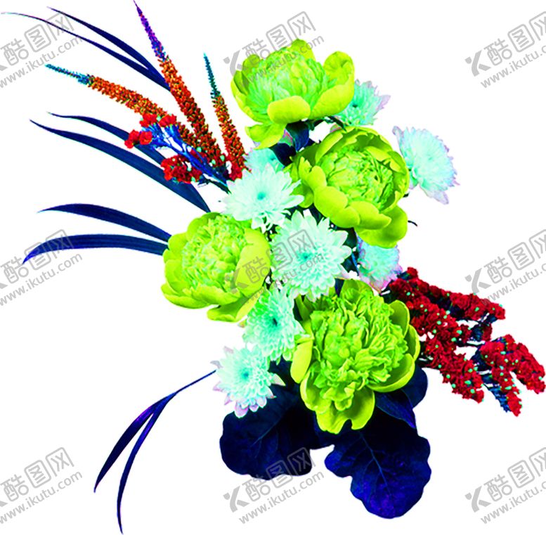 编号：39357710042029278258【酷图网】源文件下载-花素材