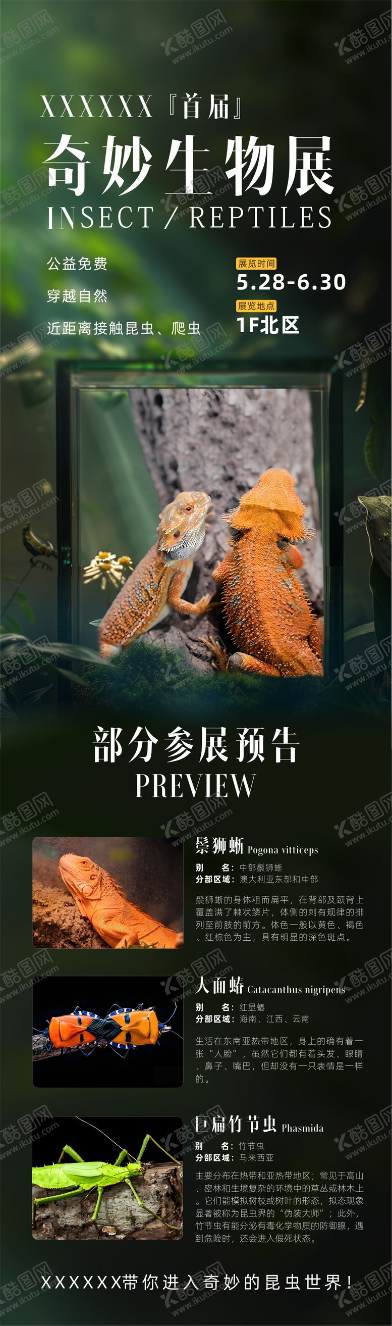 编号：33683609280515435223【酷图网】源文件下载-昆虫展生物展长图海报