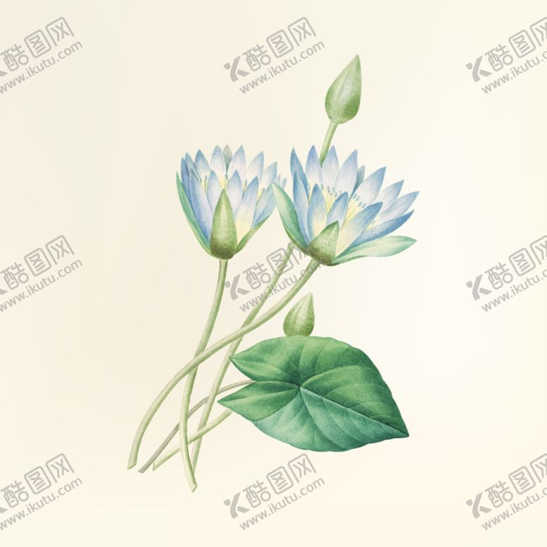 编号：96029301301836201032【酷图网】源文件下载-荷花