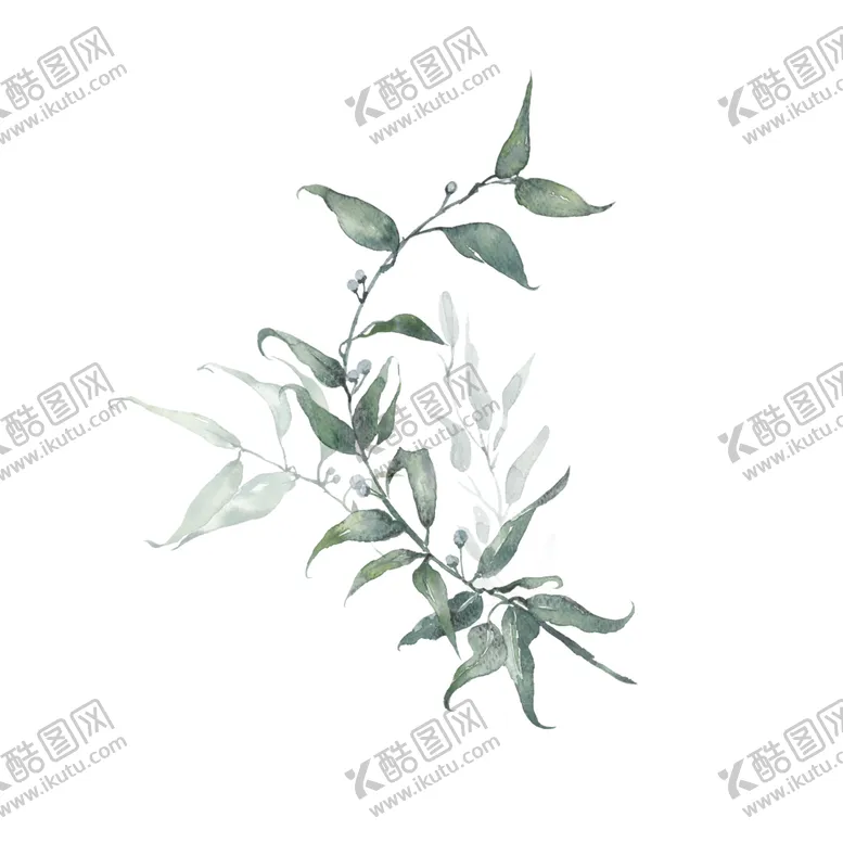 编号：60171006191322595712【酷图网】源文件下载-小清新水彩植物树枝