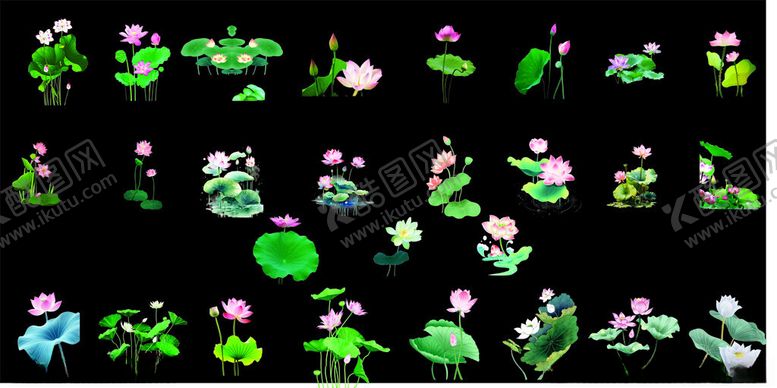 编号：72030204061301356379【酷图网】源文件下载-荷塘夜色中的多彩荷花荷叶