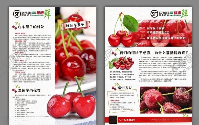 编号：91643401050314498481【酷图网】源文件下载-车厘子宣传单