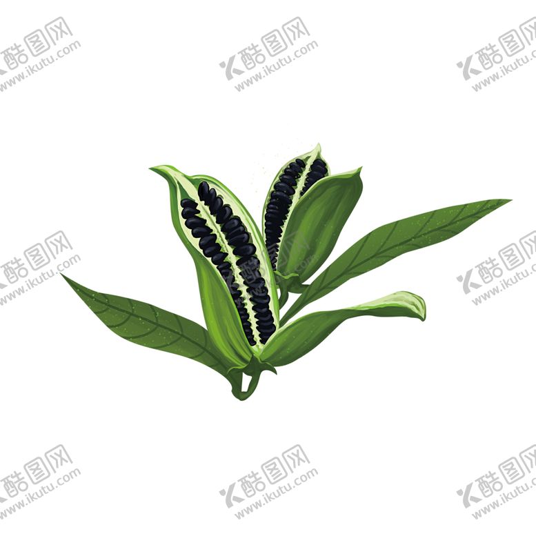 编号：98561904180046105717【酷图网】源文件下载-手绘黑芝麻