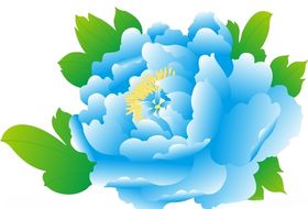 牡丹花上肆