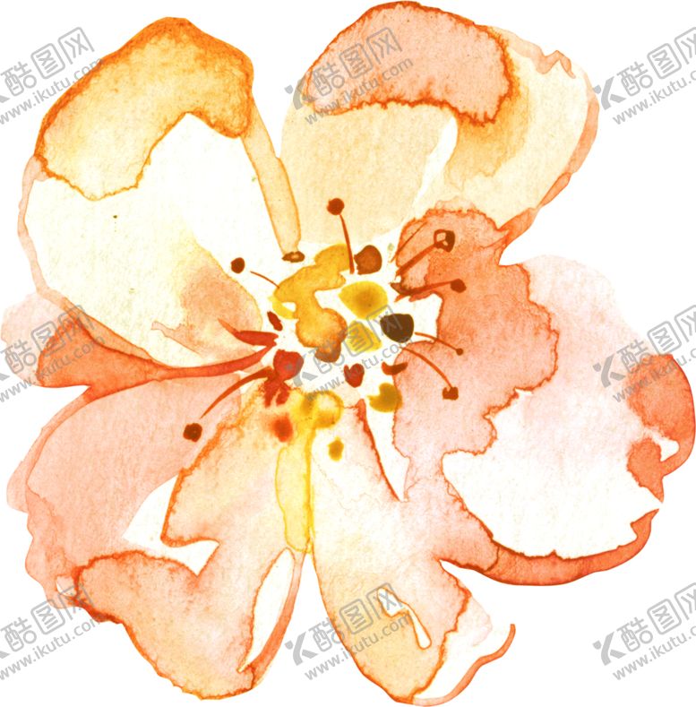 编号：88281909231624245625【酷图网】源文件下载-水彩手绘花卉花朵植物
