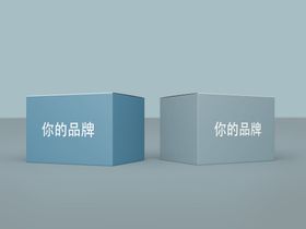 药品保健品食品包装盒样机立体图