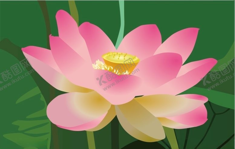 编号：19909009221312477472【酷图网】源文件下载-莲花上拾壹