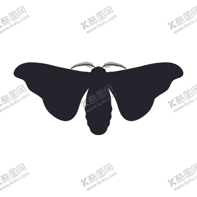 编号：85414309270238126878【酷图网】源文件下载-雄蚕蛾