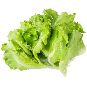 生菜