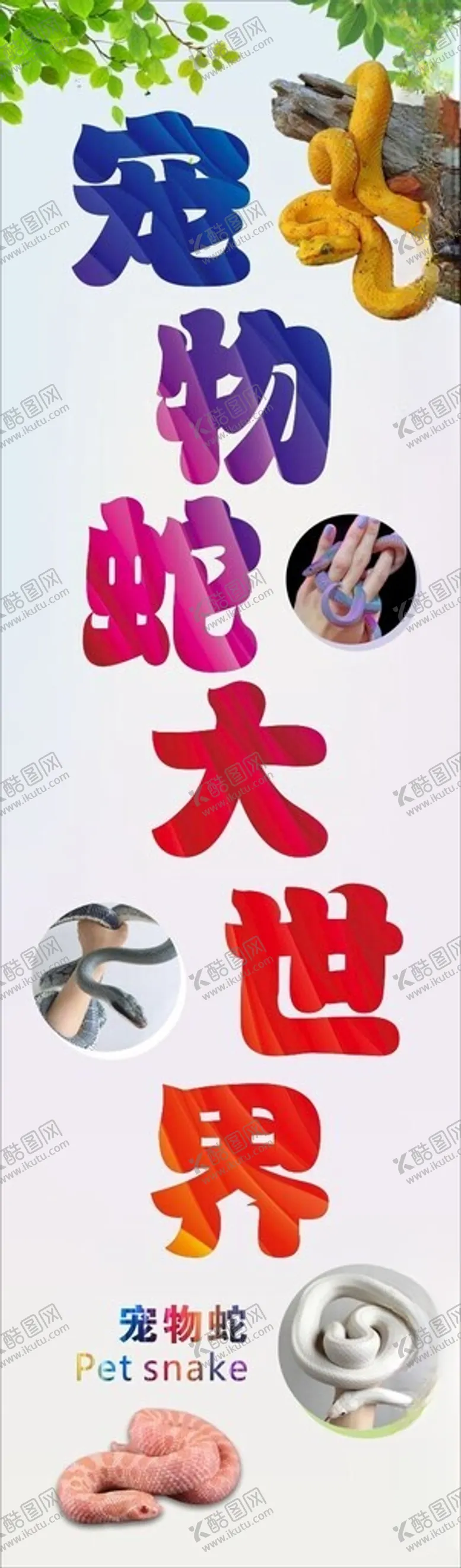 编号：96979301301925129216【酷图网】源文件下载-宠物蛇