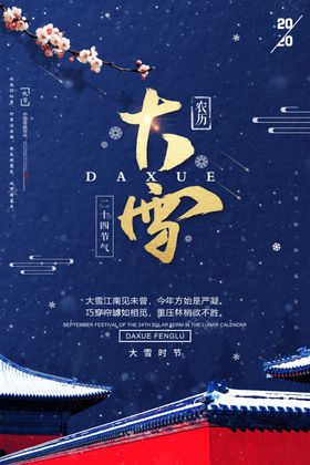 大雪简约大气海报