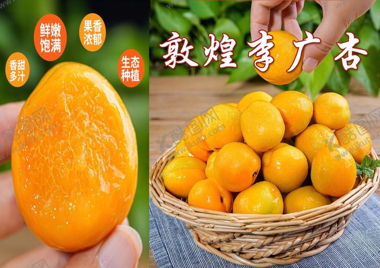 编号：74536601171432369260【酷图网】源文件下载-李广杏