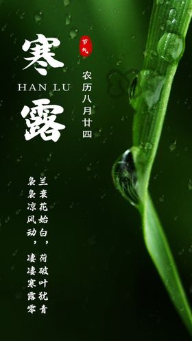 寒露海报二十四节气秋季插画