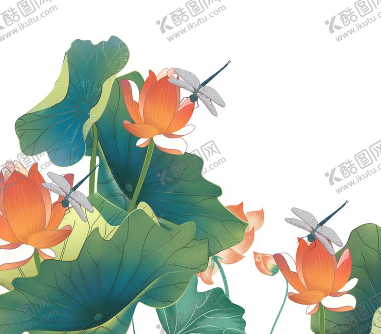 编号：73579902221628537932【酷图网】源文件下载-荷花