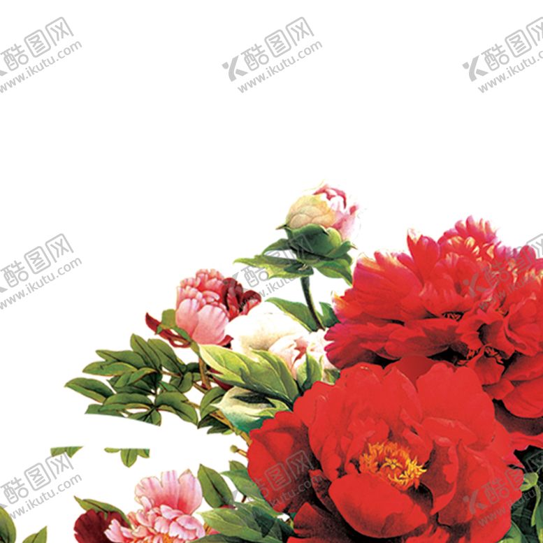 编号：85661310291414415419【酷图网】源文件下载-牡丹花