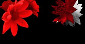 数码印花