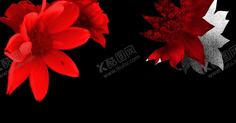 编号：80767704280133382525【酷图网】源文件下载-数码印花