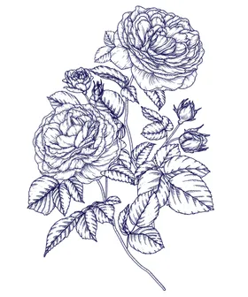 手绘花卉唯美插画植物
