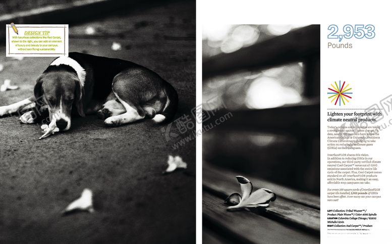 编号：51213109230116237793【酷图网】源文件下载-图文排版版式模板