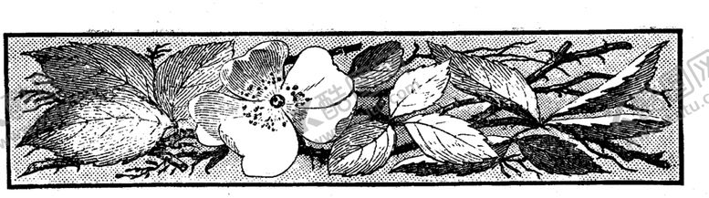 编号：87386309241027071353【酷图网】源文件下载-花纹边框