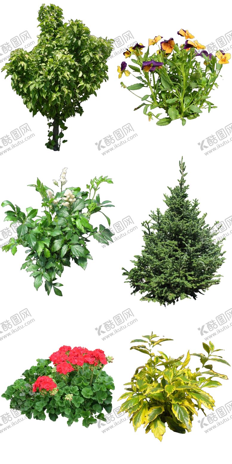 编号：96926012090127085083【酷图网】源文件下载-景观耐阴花卉