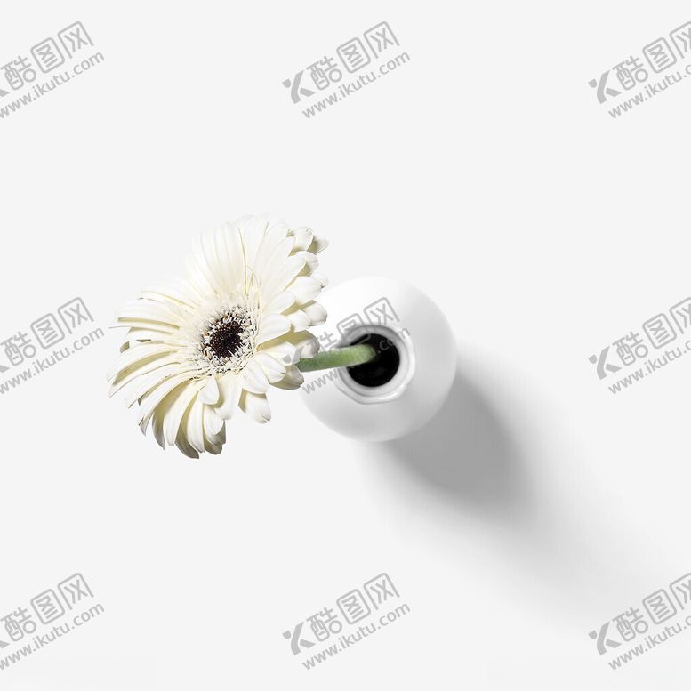 编号：59236202201501301688【酷图网】源文件下载-花瓶中的花