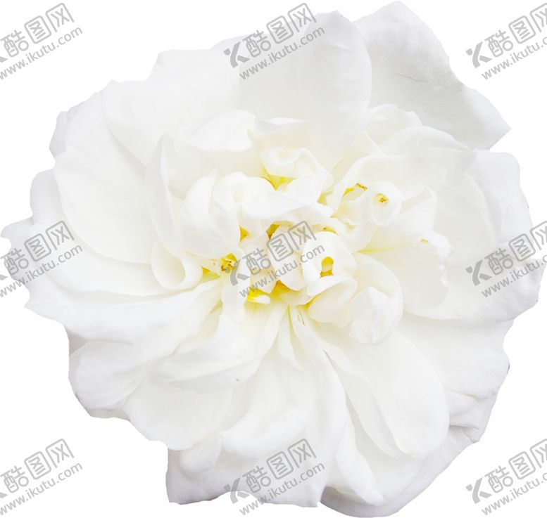 编号：58937609251338534123【酷图网】源文件下载-花边