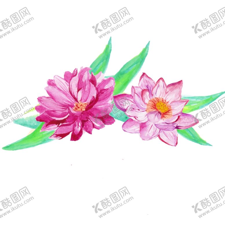 编号：79288301260254082216【酷图网】源文件下载-荷花素材