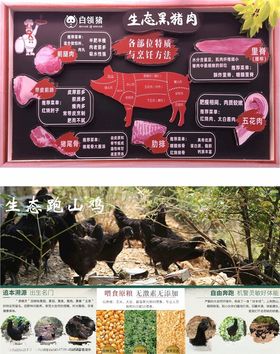 生态黑猪肉