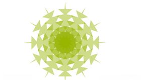 花纹