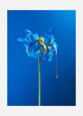简约时尚装饰画小清新花朵素材