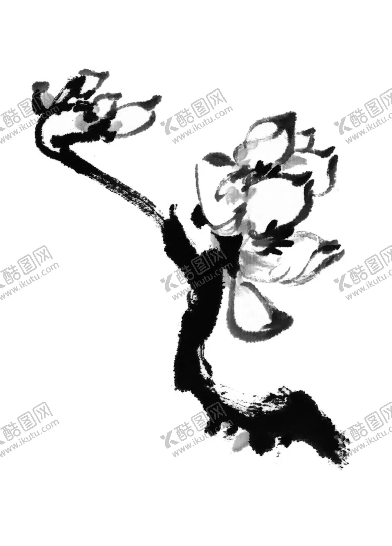 编号：36459412010248056102【酷图网】源文件下载-玉兰
