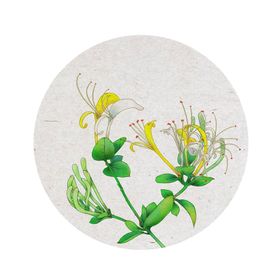 金银花