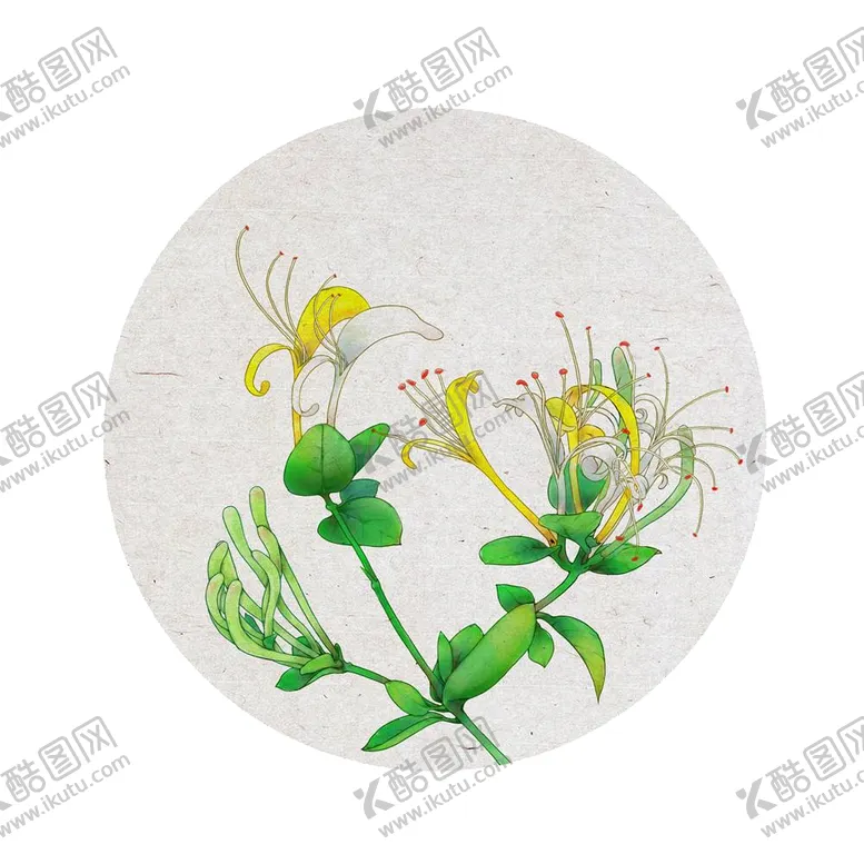 编号：93718806261103271383【酷图网】源文件下载-金银花